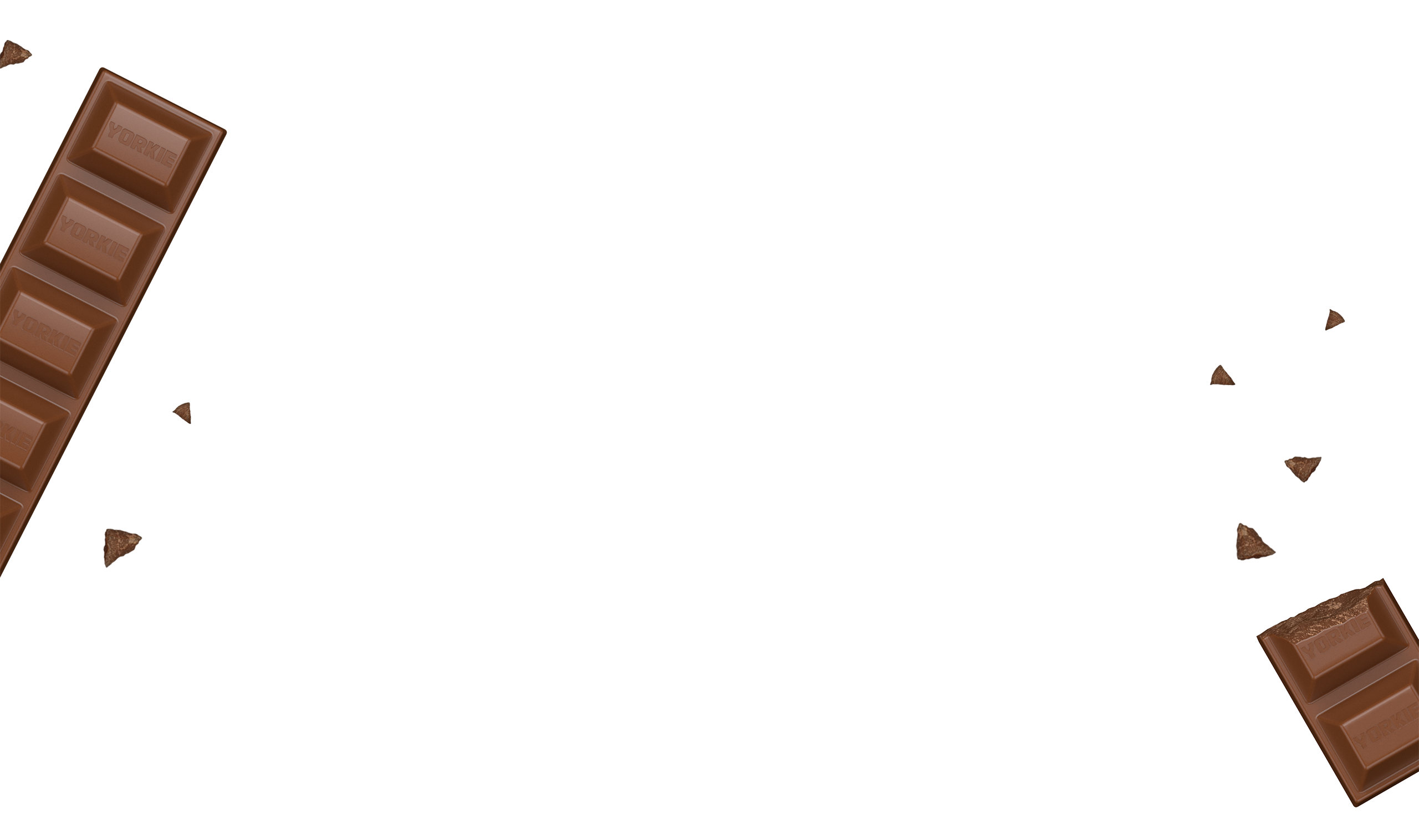 Yorkie Full Background - Desktop