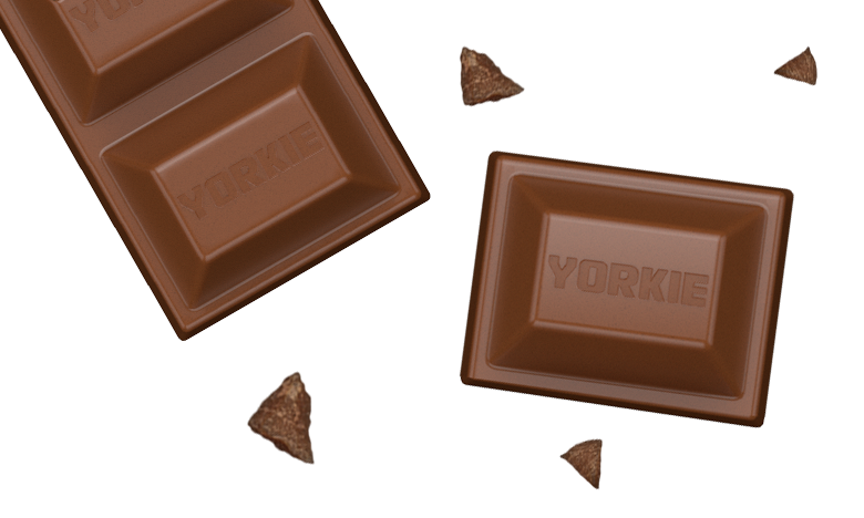 Yorkie Full Background - Mobile