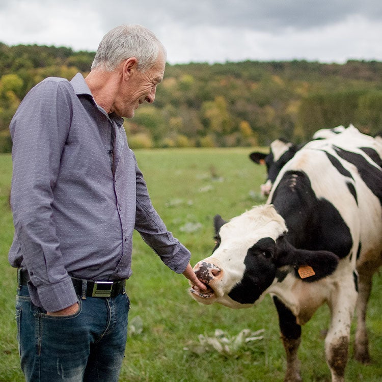 A Milk Plan farmer with his cow